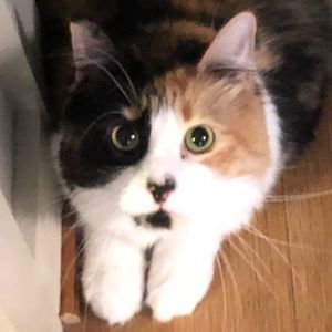 Meet your Posher, Marilyn